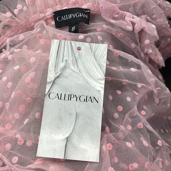 Callipygian sheer pink dots blouse size 8 NWT - Picture 4 of 4